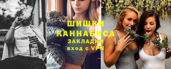 дмт Белокуриха