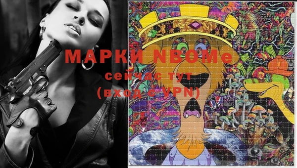 дмт Белокуриха